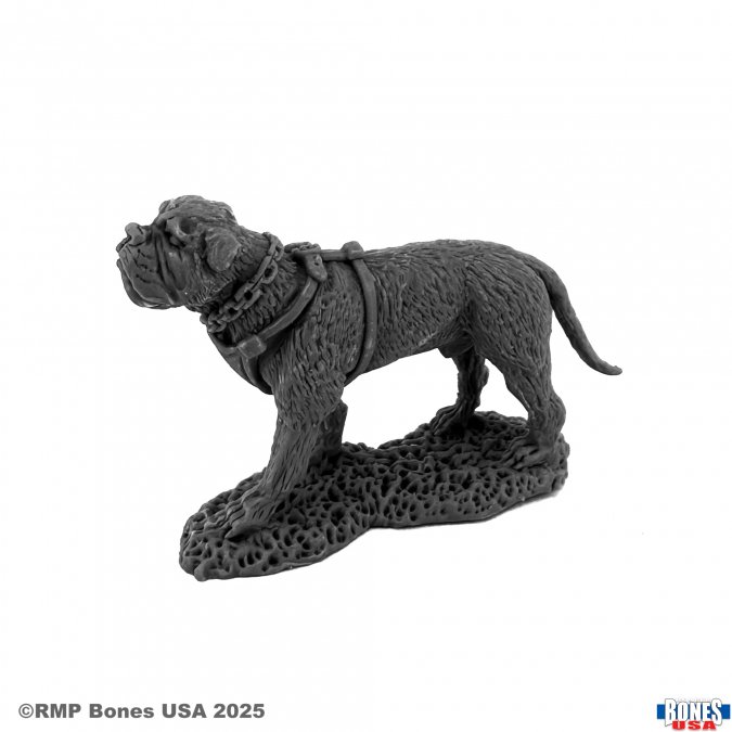 Garr, War Dog
