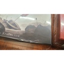 Third Crusade (vahingoittunut)