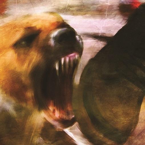 Pelkkää Pimeää (CD)