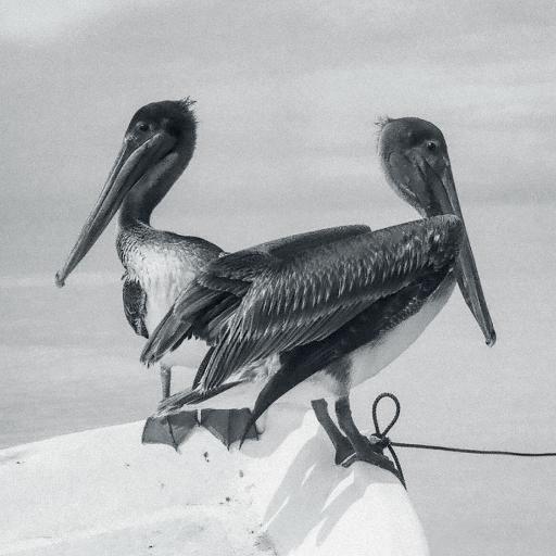 Blink And You Miss It (CD)