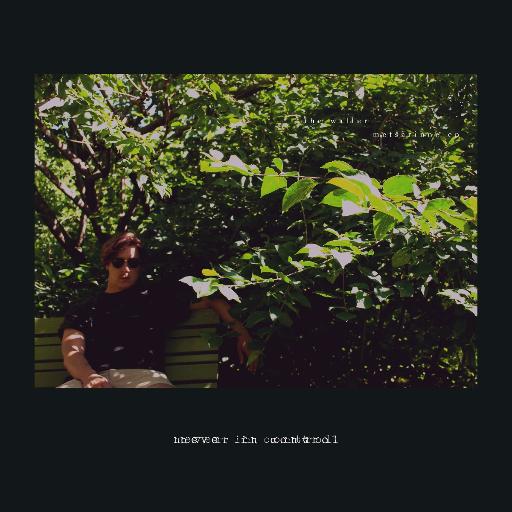 Never In Control (LP)