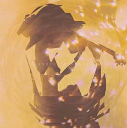 Years In A Day (DVD+2CD 10" sleeves)