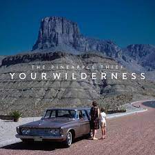 Your Wilderness (CD)
