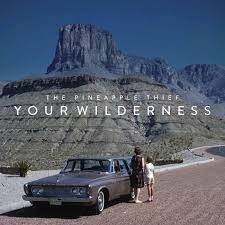 Your Wilderness (CD Digipak)