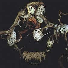 Sparagmos (Gold/ Black Galaxy Vinyl)