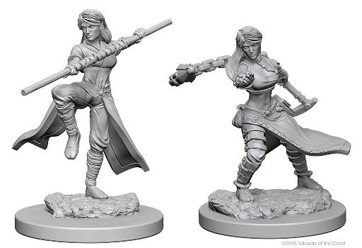 Human Female Monk D&D Nolzur’s Marvelous Miniatures