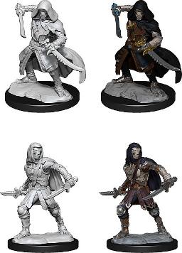 D&D Nolzurs Marvelous Miniatures W14 Warforged Rogue