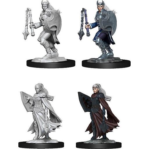 D&D Nolzurs Marvelous Miniatures W14 Kalashtar Cleric Female