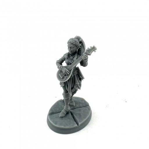 Dungeon Dwellers Bones Ryelle Female Elf Bard