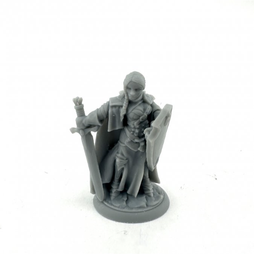 Dungeon Dwellers Bones Isabeau Laroche Female Paladin
