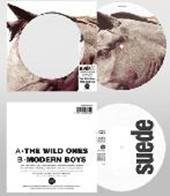 The Wild Ones (30th Anniversary Picture Disc)