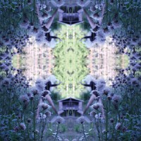 Kastoin Sulkaa Kuulla (LP)