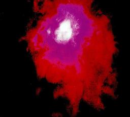 Up The Downstair (CD)