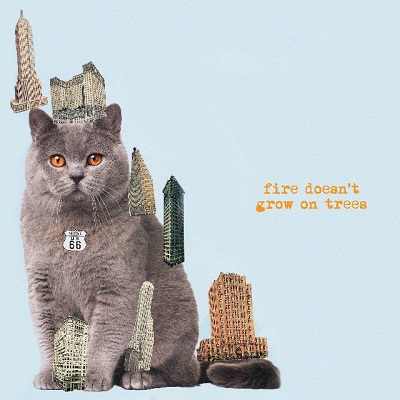 Fire Doesn’t Grow On Trees (LP 180grm)