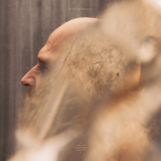 Violate Consensus Reality (LP)