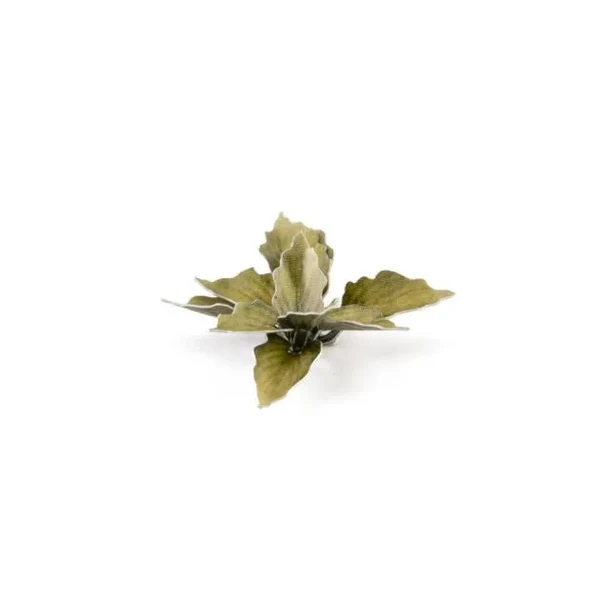 Gamers Grass - Plantain Lily | Laser Plants