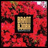 [HPSLPLT240] Bougainvillea (LP MUSTARD)