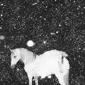 [FIRELP666] Apocalypse Love (LP)