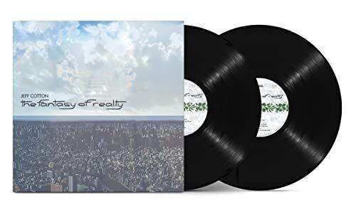 [SMALP1214] The Fantasy Of Reality (2LP)