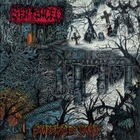 [CKC018RP] Shadows of the Past (Vinyl LP)