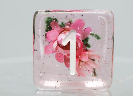 [FBG2433] Carnation Love RPG Dice Set (7)