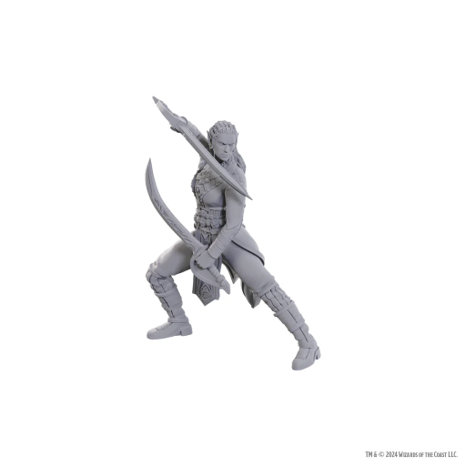 [WZK96368] Jaheira &amp; Halsin - D&amp;D Nolzurs Minis Special Edition Baldur's Gate 3