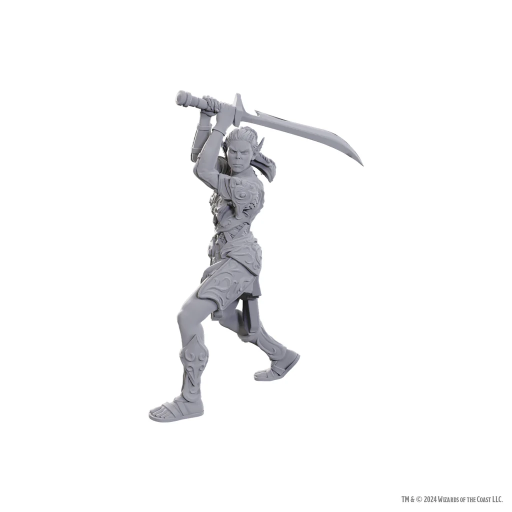 [WZK96365] Lae'zel &amp; Shadowheart - D&amp;D Nolzurs Minis Special Edition Baldur's Gate 3