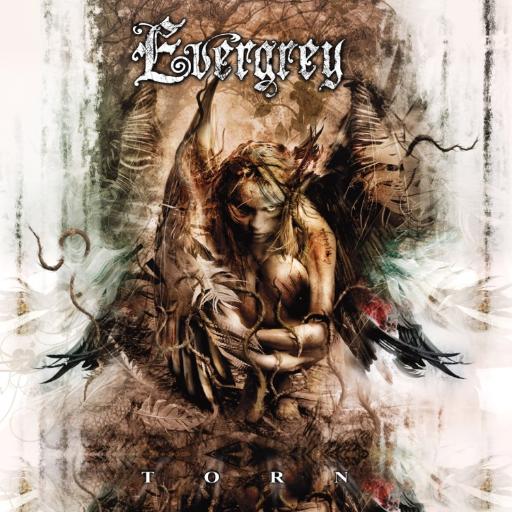 [AFM706-9] Torn (CD Digipak)