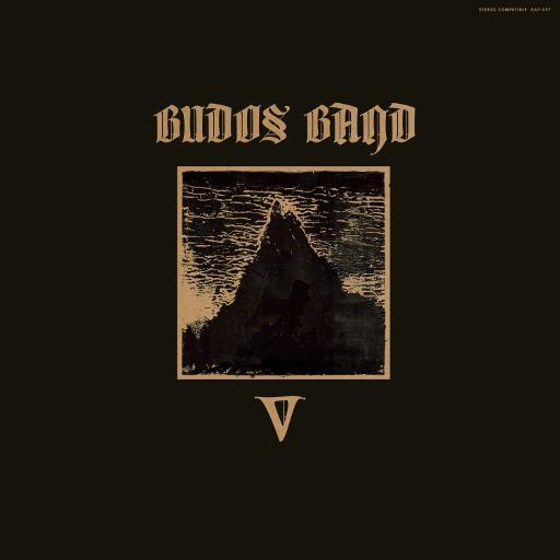 [DAP057-1] V (LP)