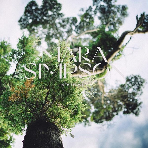 [MSD7CD] In This Place (CD)