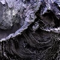 [103062] The Mirror Void (CD)