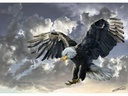Bald Eagle (500pc puzzle)