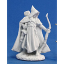 Arthrand Nightblade, Elf Ranger