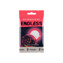 Moonrakers: The Endless