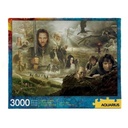 The Lord of the Rings Puzzle (3000pc)
