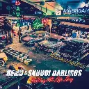 Rocking All Life Long (LP)