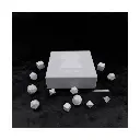 Monty Python RPG Albatross Edition Custom Dice Set